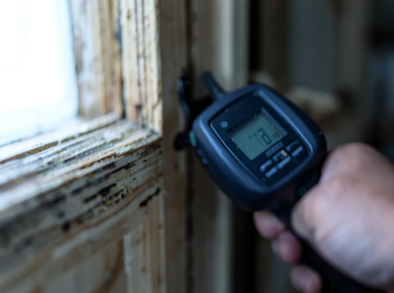 Moisture Inspection And Documentation in Wahiawa, HI
